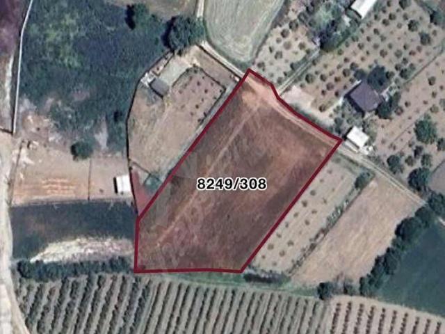 BM REAL ESTATE NILÜFER AKÇALAR'da SATILIK 4402 M2 TARLA