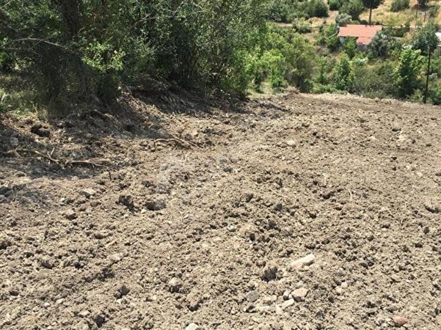 BMK KUMLUCA YENİKIŞLADA 31 DÖNÜM SATILIK TARLA ve NAR BAHÇESİ
