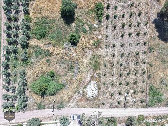 BMK'DAN ADRASAN'DA 2730 M2 SATILIK TARLA