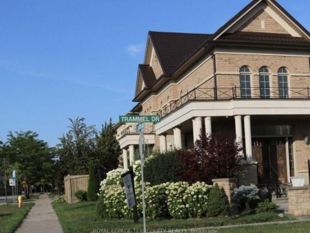 Bsmt Room 3 131 Trammel Drive, Vaughan, ON, L4H 0W2 house for lease | Listing ID N13714 | Royal LePage