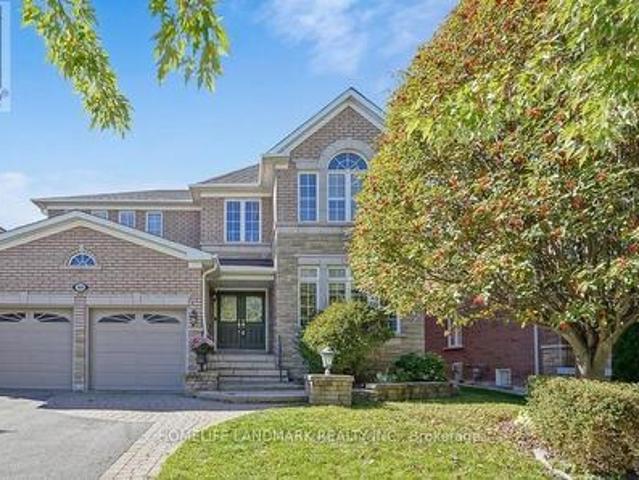 Bsmt 188 Willis Drive, Aurora, ON, L4G 7M2 house for lease | Listing ID N13454 | Royal LePage
