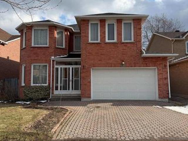 Bsmt 37 Herrick Place, Markham, ON, L3S 3B6 house for lease | Listing ID N12905 | Royal LePage