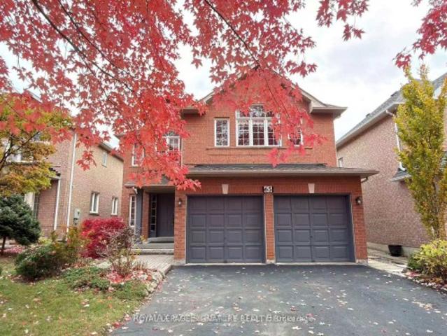 Bsmt 65 Falling River Drive, Richmond Hill, ON, L4S 2R3 house for lease | Listing ID N12950 | Royal LePage
