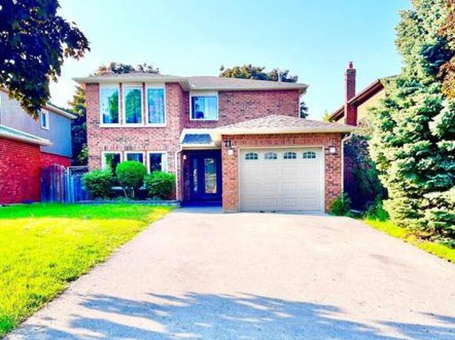 Bsmt 71 Trillium Crescent, Barrie, ON, L4N 6H6 house for lease | Listing ID S13034 | Royal LePage