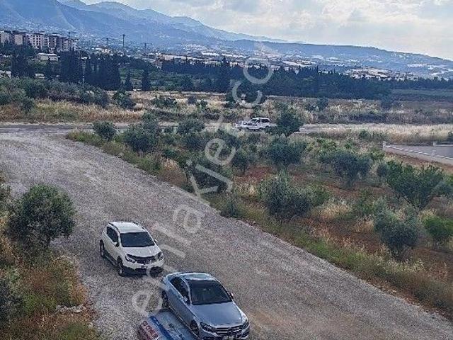 Bsm'den Şehir Hastanesi Yakını 2+1 Arakat