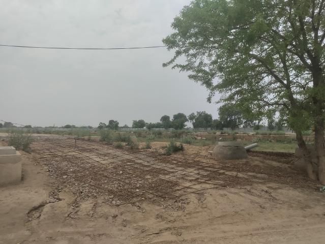 BPTP District Phase 2 110 Sq. Yd. Plot in Sector 84 Faridabad Listing ID: #9969