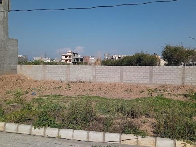 BPTP Parklands 250 Sq.Yd. Plot in Sector 76 Faridabad Listing ID: #10344