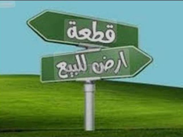 بقعة للبيع