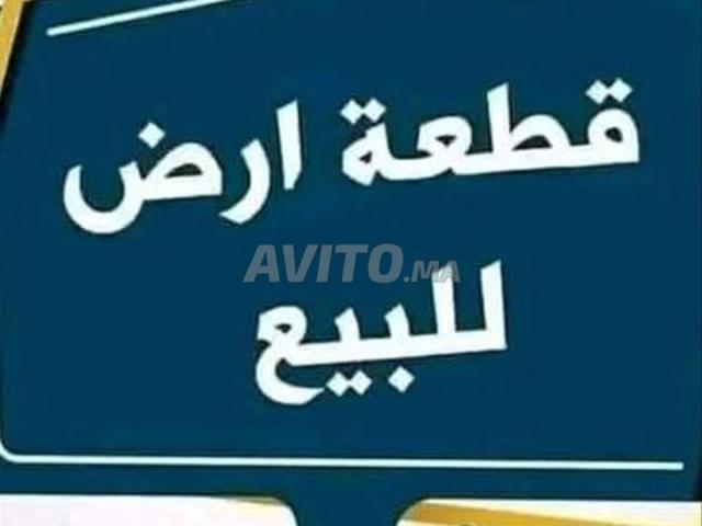 بقعة أرضية تيتر 361م بشارع إدريس الحارثي