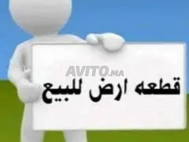بقعة أرضية للبيع مساحتها 200 متر بحي العريصة أسفي