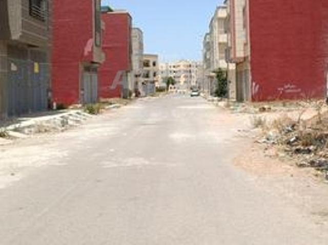 بقعة شوكة تجارية للبيع