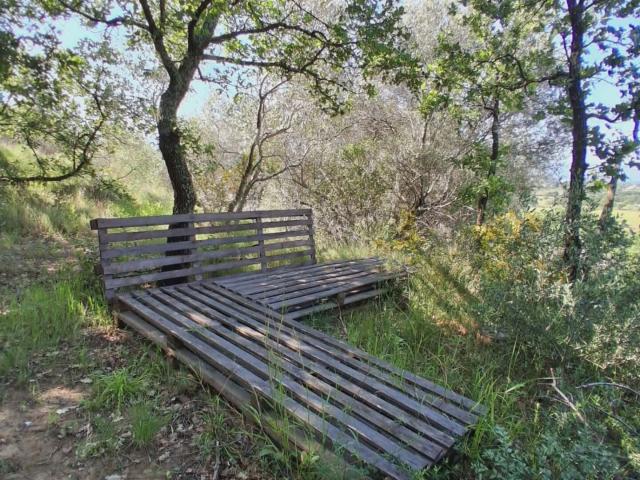 Brouilla Vente Terrain 66