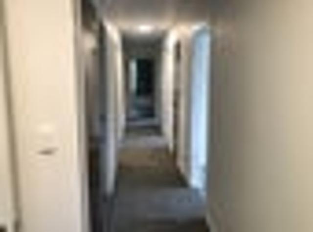 Browns Bay, 3 bedrooms, $730 pw