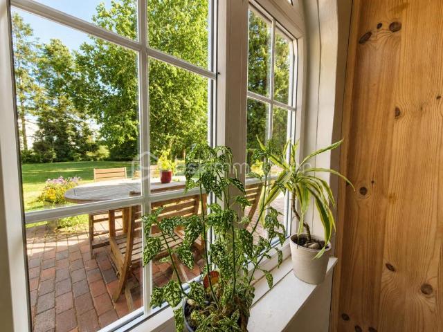 Broxeele Vente Maison 59