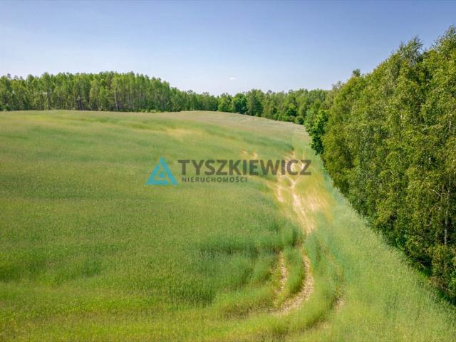 Brodnica Górna, 1 250 m2