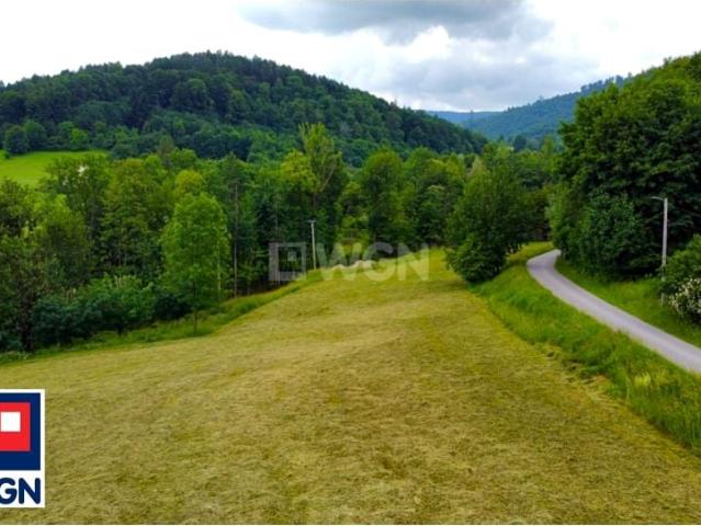 Brody 3 545 m², Ustroń