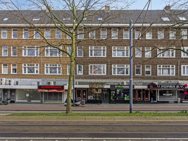 Broersvest, 54 C, 3112DE, Schiedam, Zuid Holland 3112DE