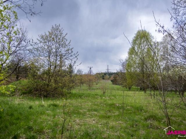 Broniewskiego 88 9 500 m², Dąbrowa Górnicza