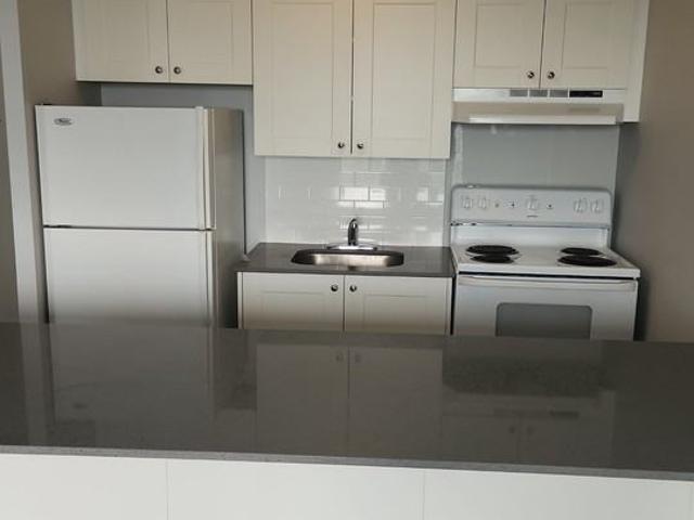 Bronson Place 1 Bedroom Apartment for Rent at 440 Gloucester St, Ottawa, ON K1R 7T8 Centretown