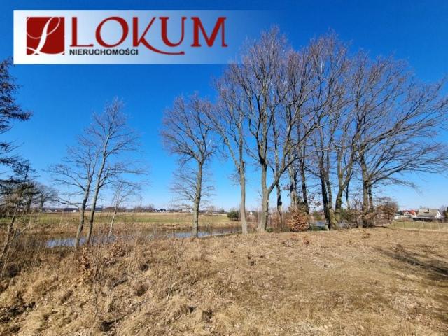 Bratkowa 4 491 m², Łapino Kartuskie