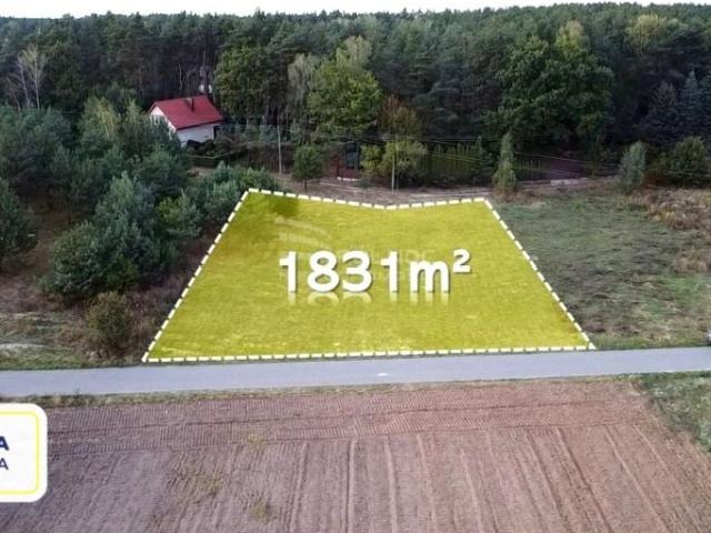 Bratnia 1 831 m², Nowe Załubice