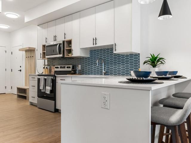 Bravo Apartments 1 Bedroom Apartment for Rent at 10024 142 St Nw, Edmonton, AB T5N 2N5 Grovenor