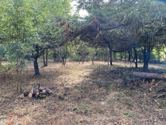 Brax Vente Terrain 31