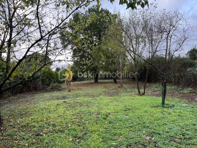 Brax Vente Terrain 31