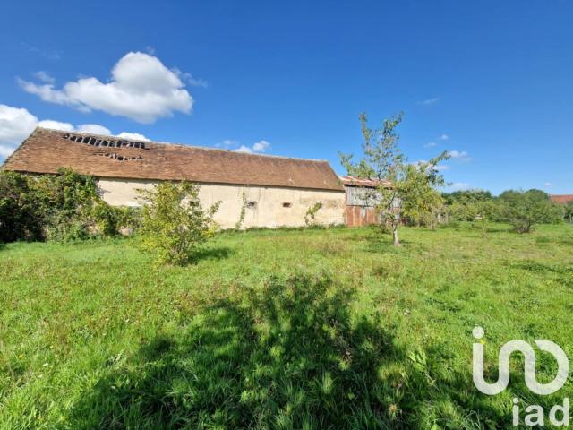 Bray en Val Vente Maison 45