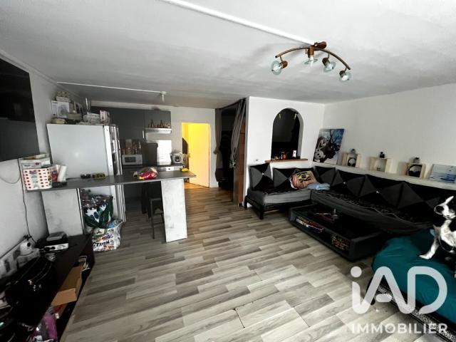 Bray sur Seine Vente Immeuble 77
