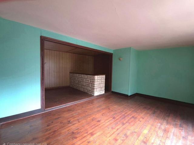 Bray sur Seine Vente Immeuble 77