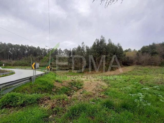Braga Vila Nova de Famalicão 4770 98882972