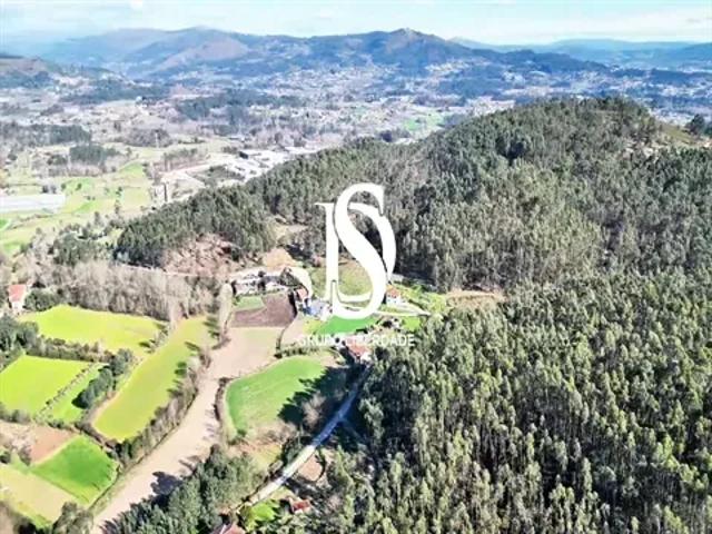 Braga Vila Verde 103540604