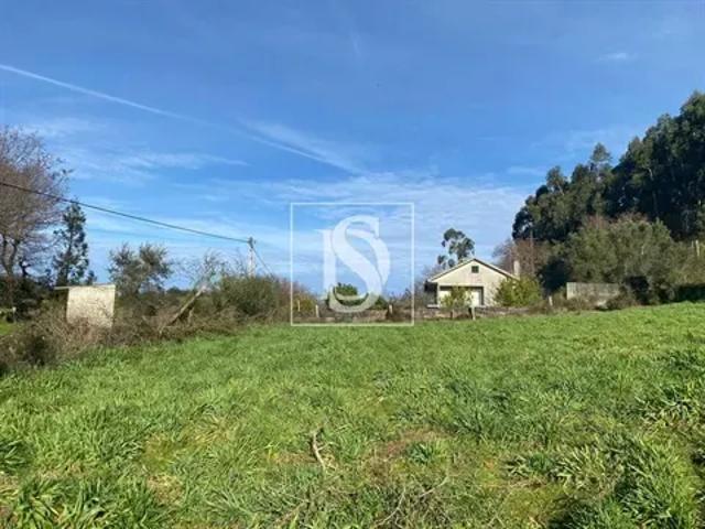 Braga Vila Verde 103541066