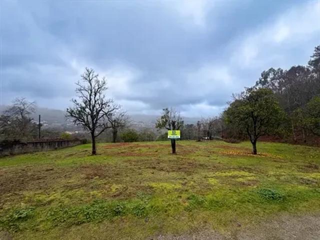 Braga Vila Verde 103526854