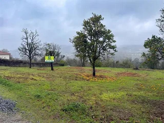 Braga Vila Verde 103526867