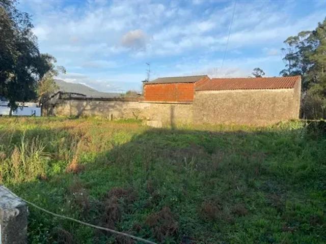 Braga Barcelos 103526744