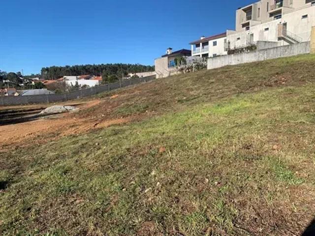 Braga Barcelos 103529306