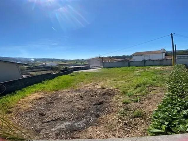 Braga Barcelos 103540519