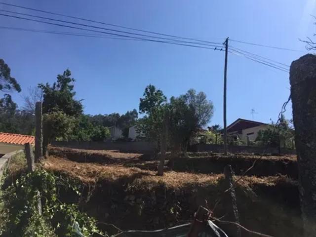 Braga Barcelos 103540575