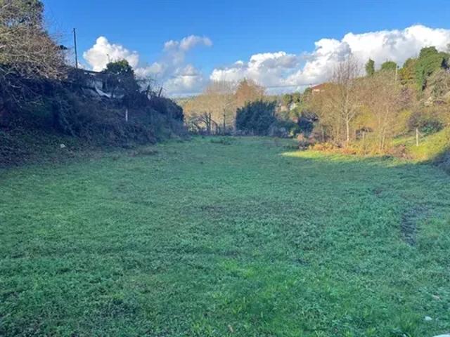 Braga Barcelos 103540683