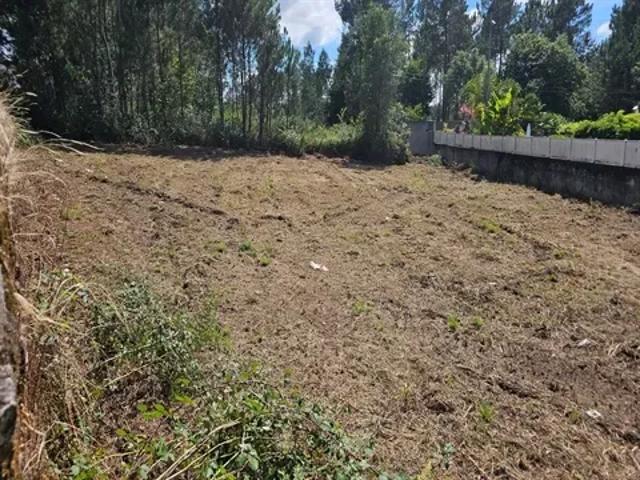Braga Barcelos 103540924