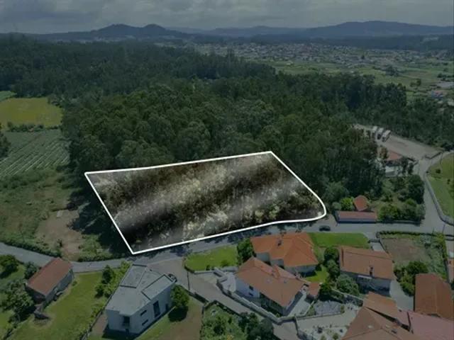 Braga Barcelos 103540936