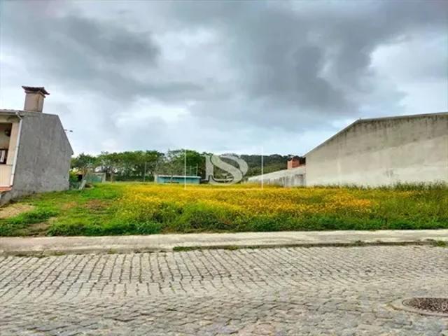 Braga Barcelos 103554782