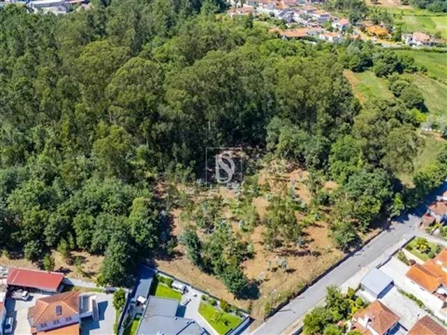 Braga Barcelos 104369620