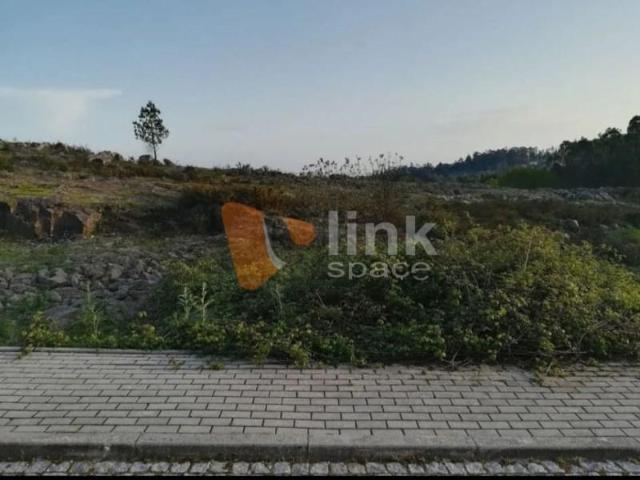 Braga Braga 103577883