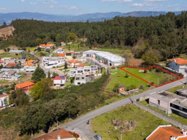Braga Braga 87065472