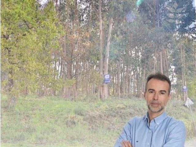 Braga Braga 89074028