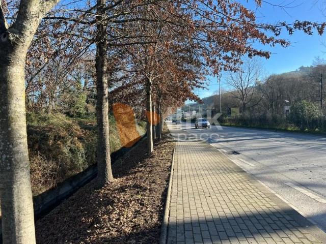Braga Braga 94949452