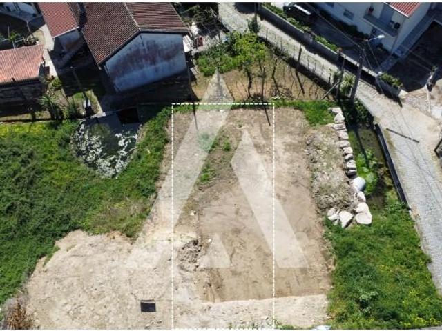 Braga Braga 100768047